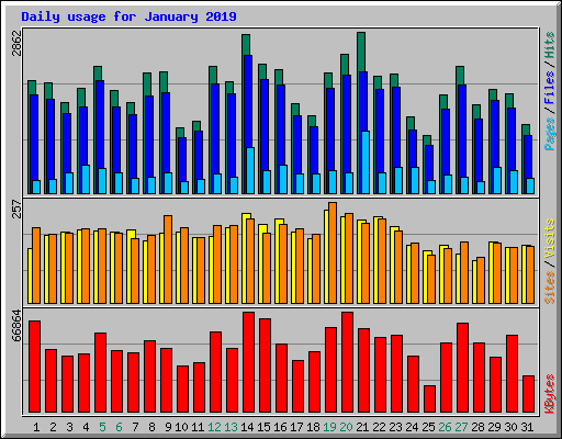 Daily usage for January 2019