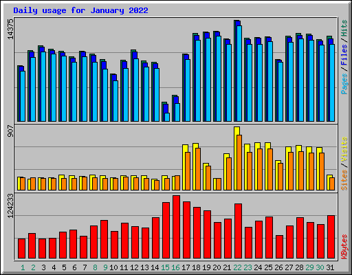 Daily usage for January 2022