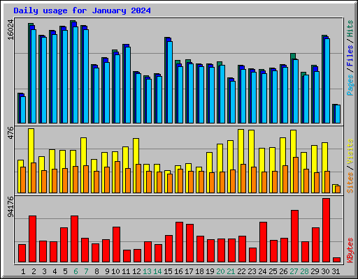 Daily usage for January 2024