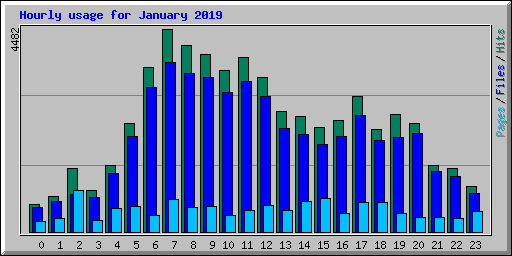Hourly usage for January 2019
