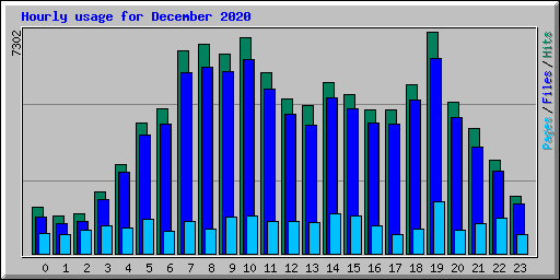 Hourly usage for December 2020