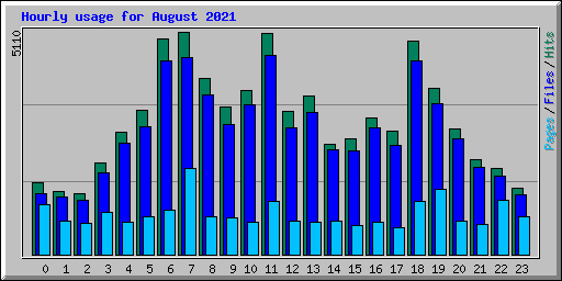 Hourly usage for August 2021