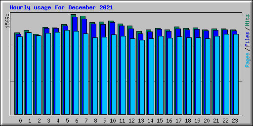 Hourly usage for December 2021