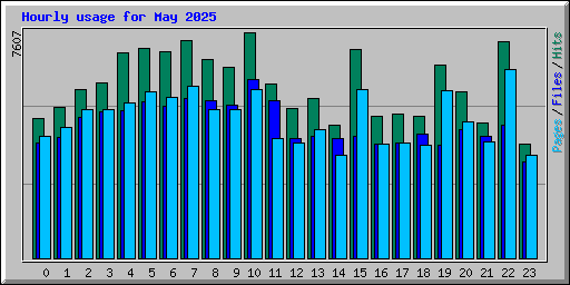 Hourly usage for May 2025