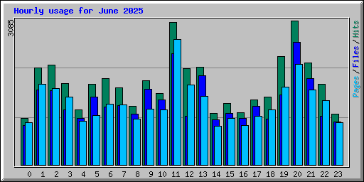 Hourly usage for June 2025