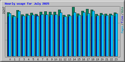 Hourly usage for July 2025