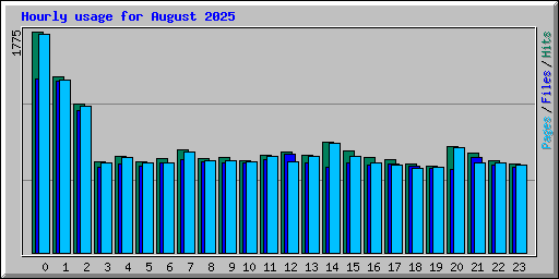 Hourly usage for August 2025