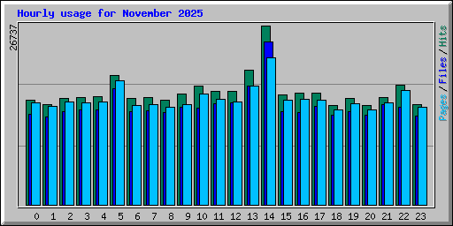 Hourly usage for November 2025