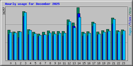 Hourly usage for December 2025