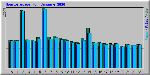 Hourly usage for January 2026