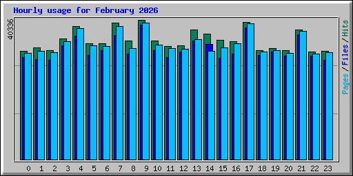 Hourly usage for February 2026