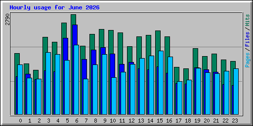 Hourly usage for June 2026