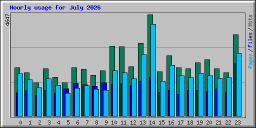 Hourly usage for July 2026